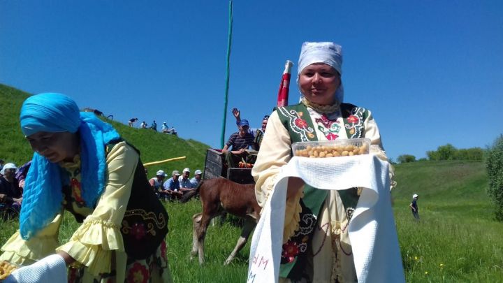 Сатмыш авыл җирлегендә баш батыр булып Илмас Сакиев калды