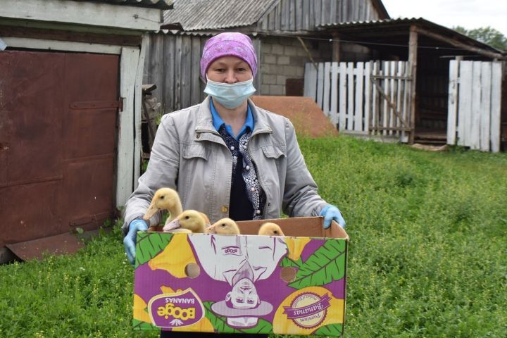 Эльмира Хафизова: "Язылабыз да, укыйбыз да"