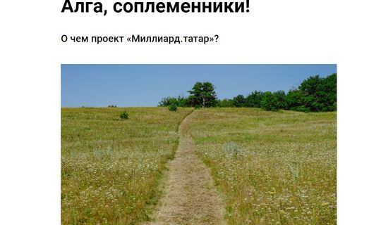 В РТ группа казанских журналистов запустила сайт «Миллиард.татар»