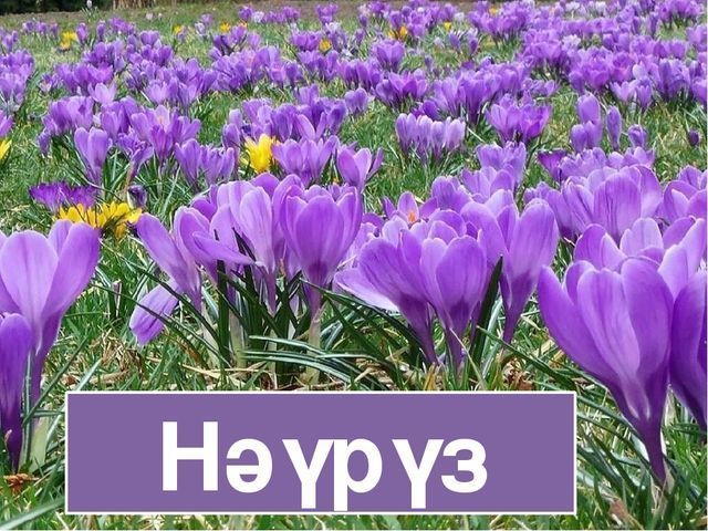 Апаста “Нәүрүз“ бәйрәме зурлап үткәрелә. Кайчан?
