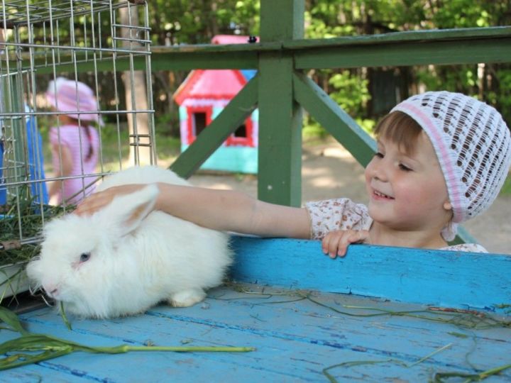 Казанский зооботанический сад объявляет набор в кружок юных натуралистов