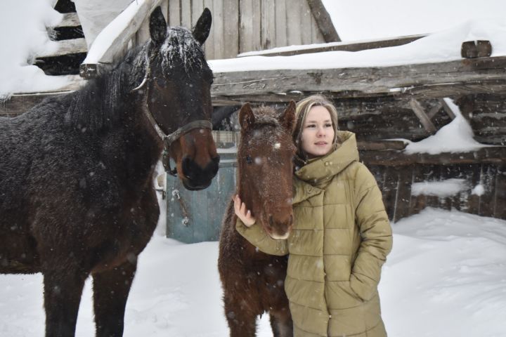 Семья Залялиевых из Бурнашево разводит лошадей