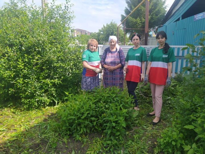 Волонтеры Апастовского местного отделения Партии "Единая Россия" в рамках акции «Выходные с ветераном» помогли пожилой бабушке