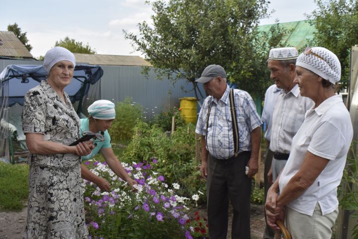 «Клуб садоводов» выявляет самые ухоженные участки Апастово
