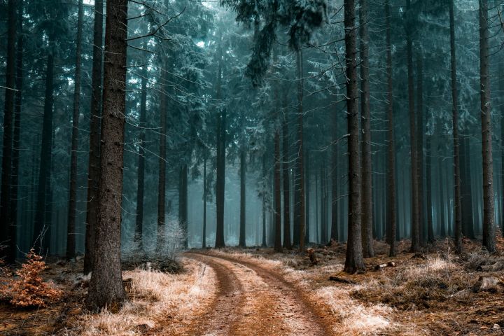 «Ярый әле, нишлисең, җибәр, үтерәсең бит, дип, җан ачысы белән кычкырырга өлгергәнмен...»