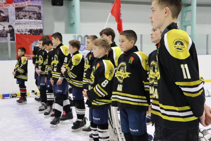 В ледовом дворце Апастово состоялся открытый хоккейный турнир