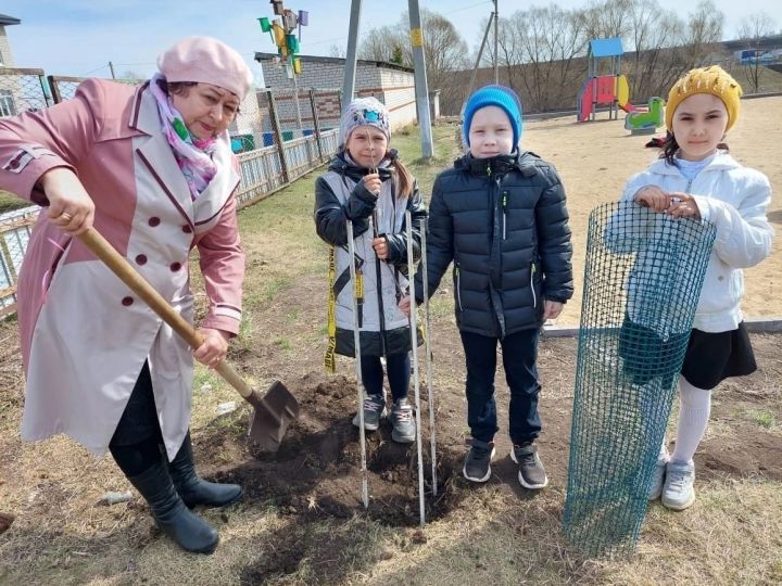 Коллектив Староюмралинской школы посадил деревья