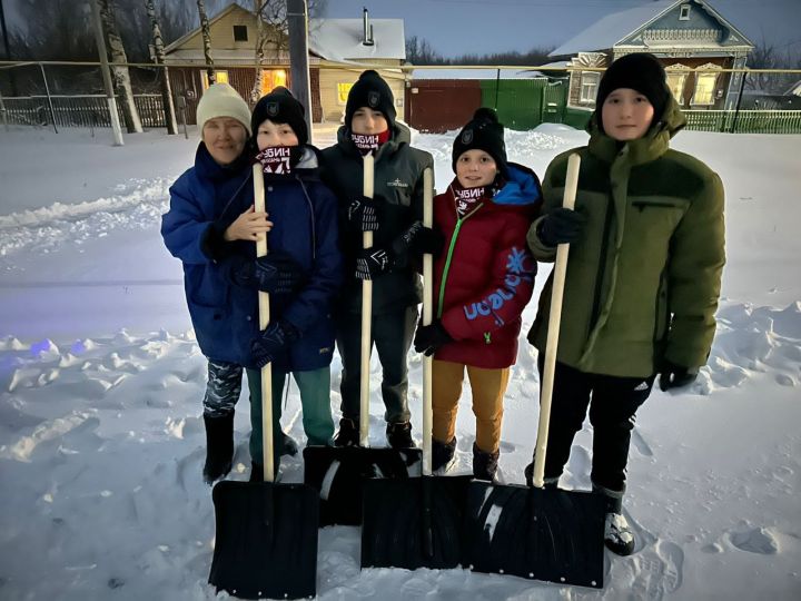 В Бишево действует отряд добровольных помощников одиноким пожилым