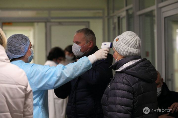 Татарстанда «Төрек җил чәчәге» белән авыручылар өчен кайнар линия ачылды