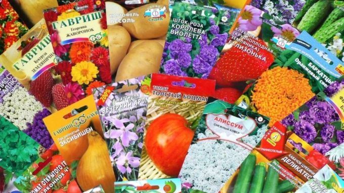 Как выбрать правильные семена