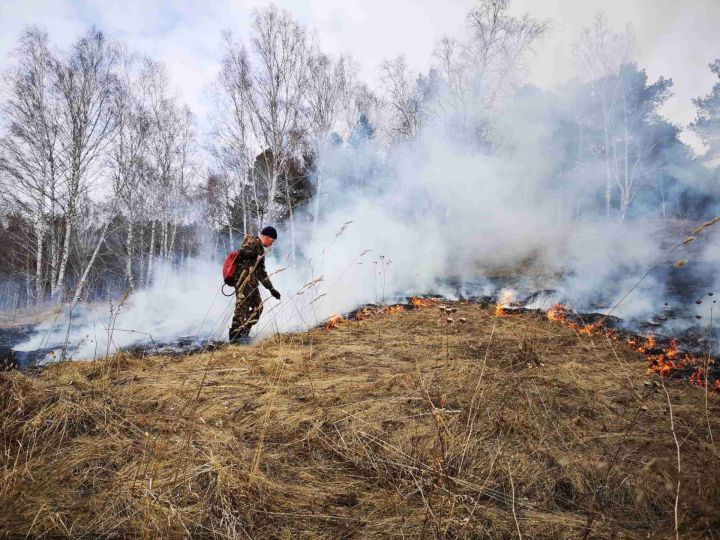В Татарстане объявлен особый противопожарный режим с 22 апреля по 12 мая