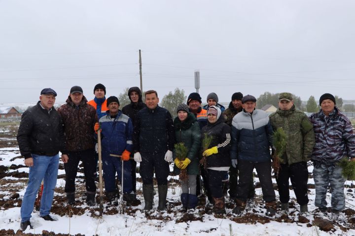 Апаста “Хәтер бакчасы” акциясе узды