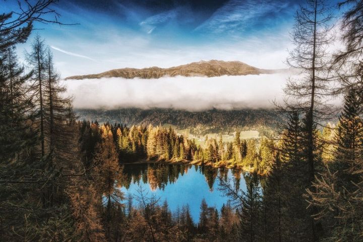 «Аларны күрсәм, күңелем болгана, йортларына таба аяк та атламаячакмын»