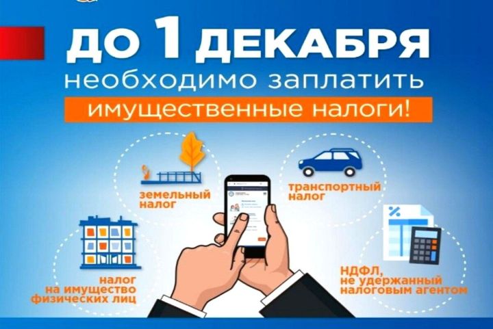 Срок уплаты имущественных налогов и НДФЛ — 1 декабря 2025 года!