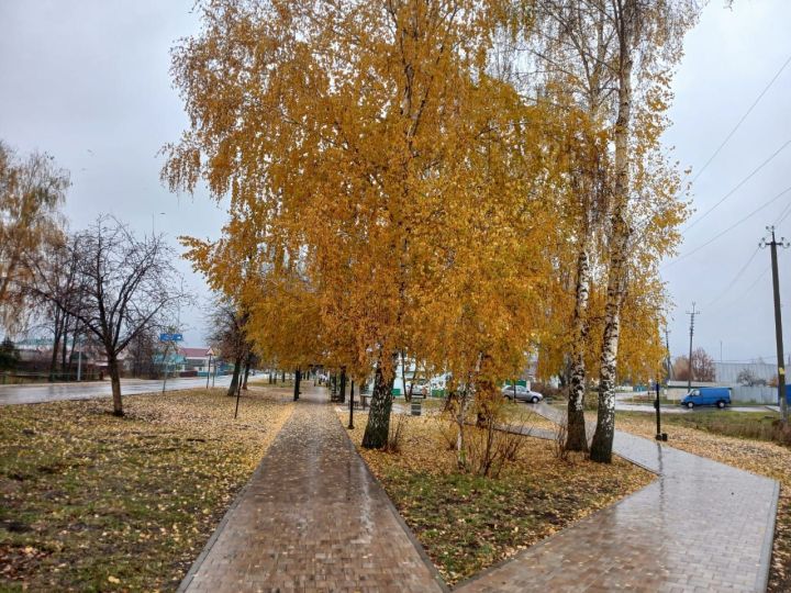 Татарстанда өстәмә ял көннәрен ничек алырга?