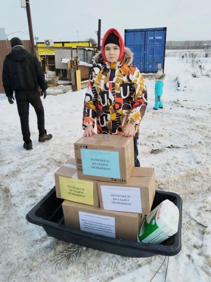 Коллектив и учащиеся Табар-Черкийской школы помогли питомцам из приюта «Кот*Пес»