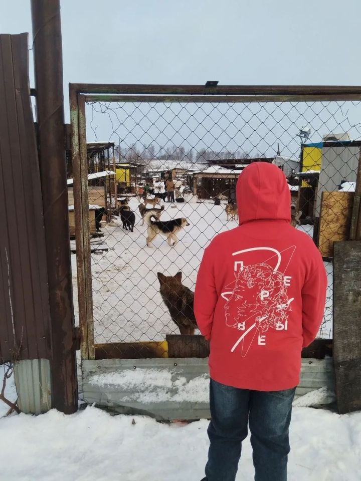 Коллектив и учащиеся Табар-Черкийской школы помогли питомцам из приюта «Кот*Пес»