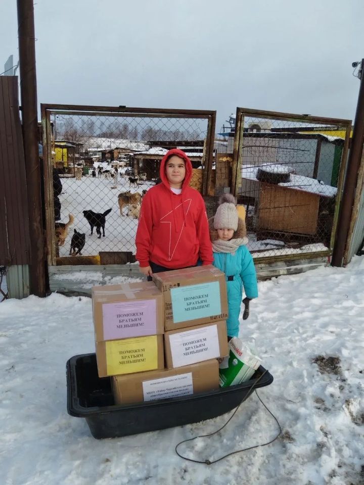 Коллектив и учащиеся Табар-Черкийской школы помогли питомцам из приюта «Кот*Пес»
