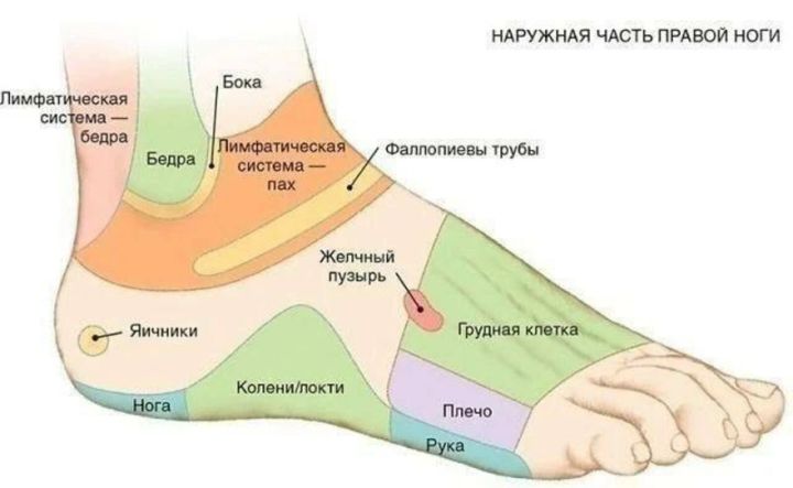 Хәрәкәттә - бәрәкәт!