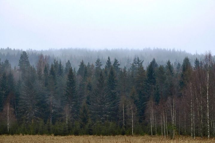 Һава торышы һәм ай календаре