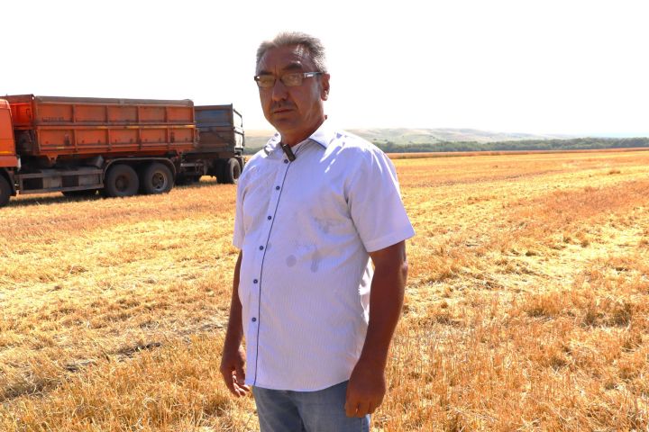 Поля восхищают, урожай радует