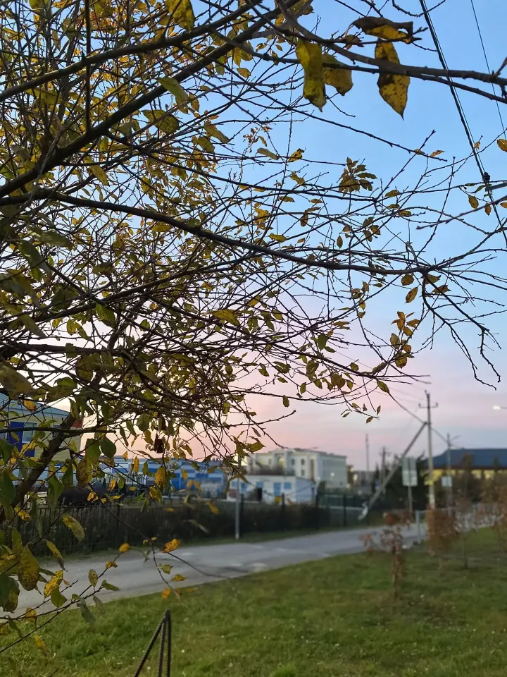 15 октябрь сынамышлары