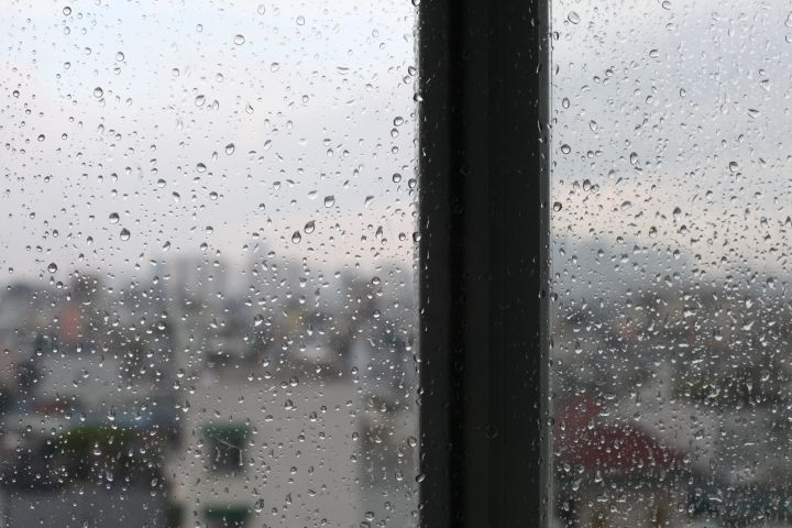 Югары дымлылык нәрсәсе белән куркыныч?