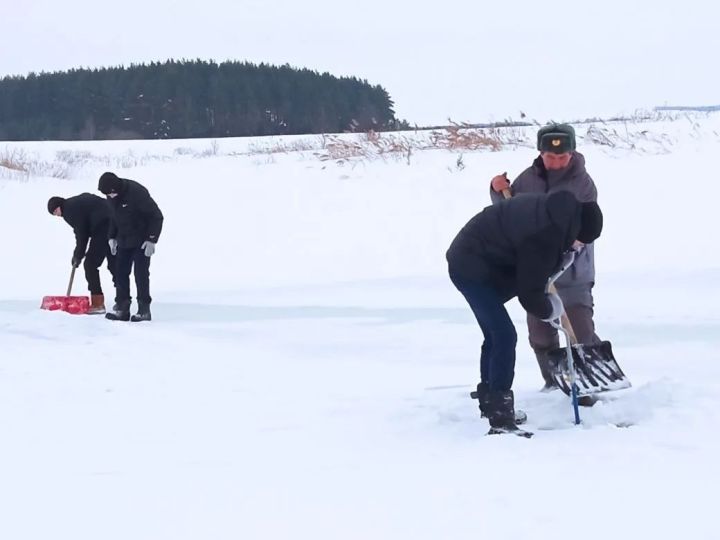 Апаслылар “Балык булсын” республика акциясенә кушылды