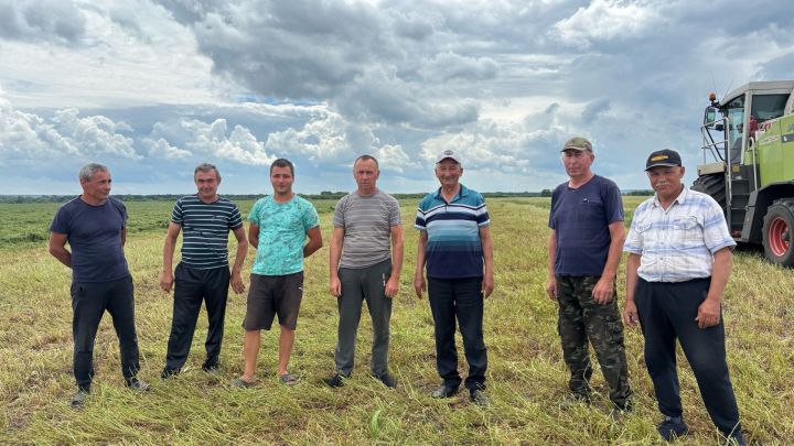 Апаста терлек азыгы әзерләү эше бара
