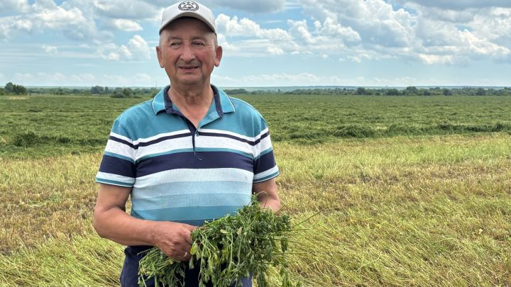 Апаста терлек азыгы әзерләү эше бара