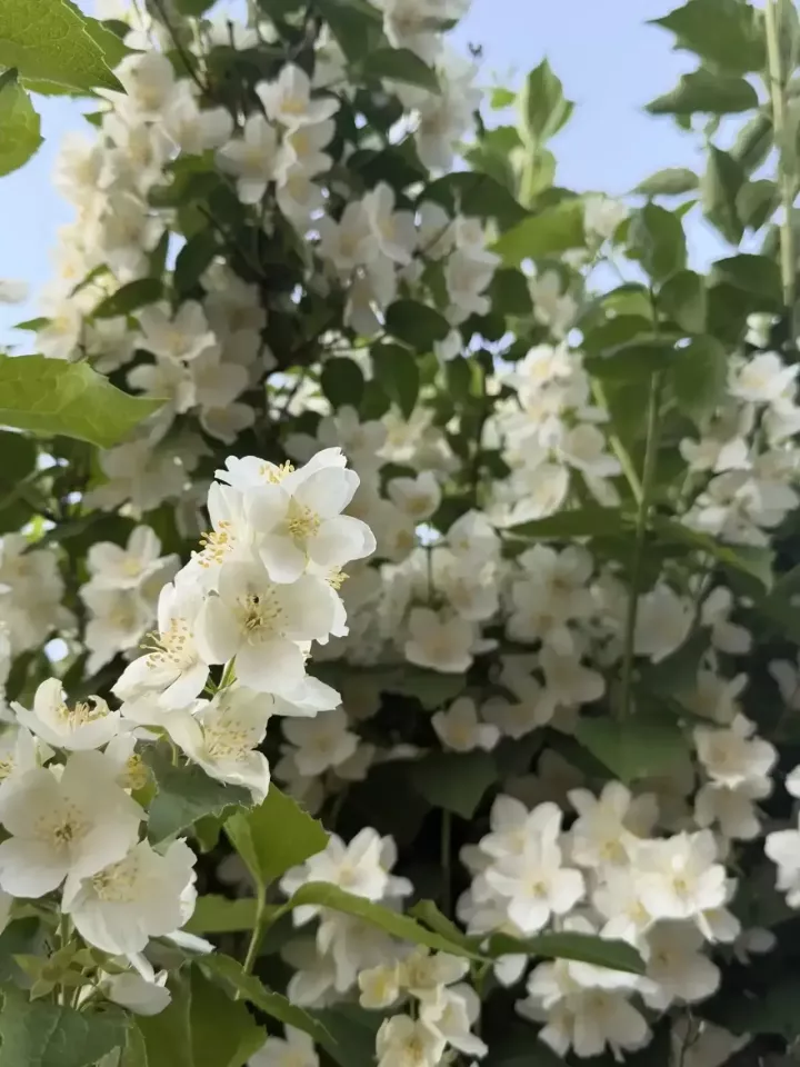 25 июньдә Татарстанда болытлы һава һәм +24 градуска кадәр җылылык көтелә