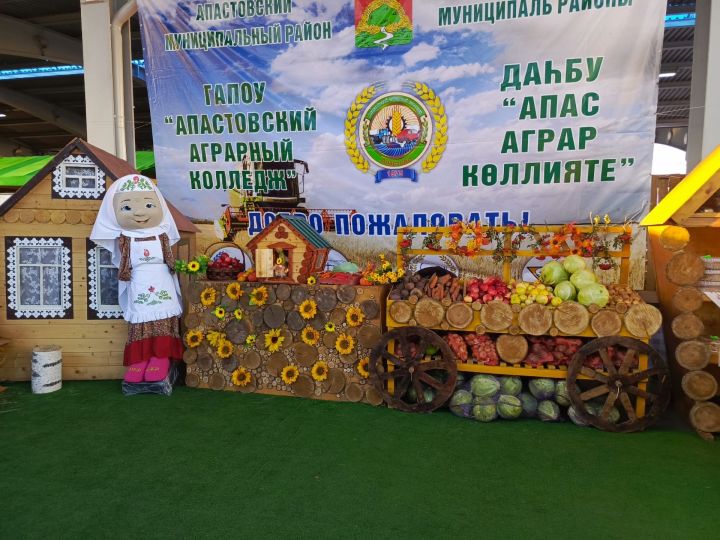 Апас аграр көллияте эшчәнлеге «Осталар шәһәре» ярминкәсендә югары бәя алды